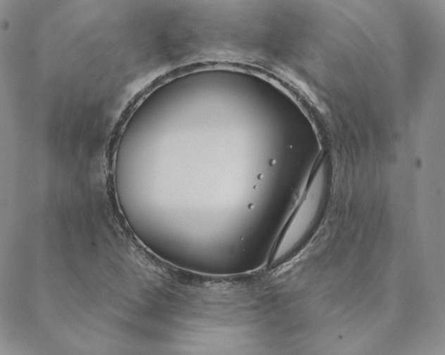 X0000088611264200706081425