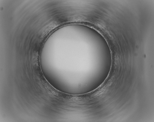 X0000088611265200706081425