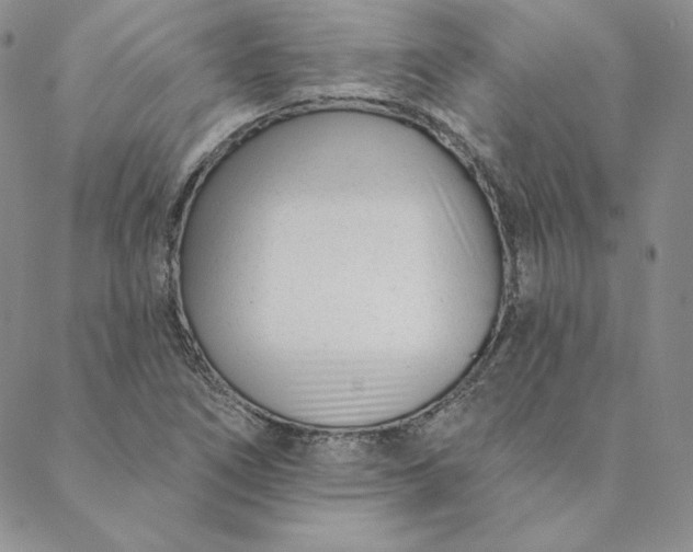 X0000088611266200706081425