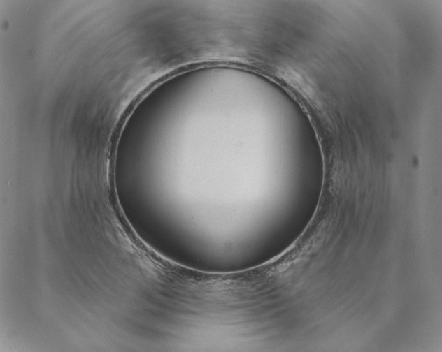 X0000088611268200706081425