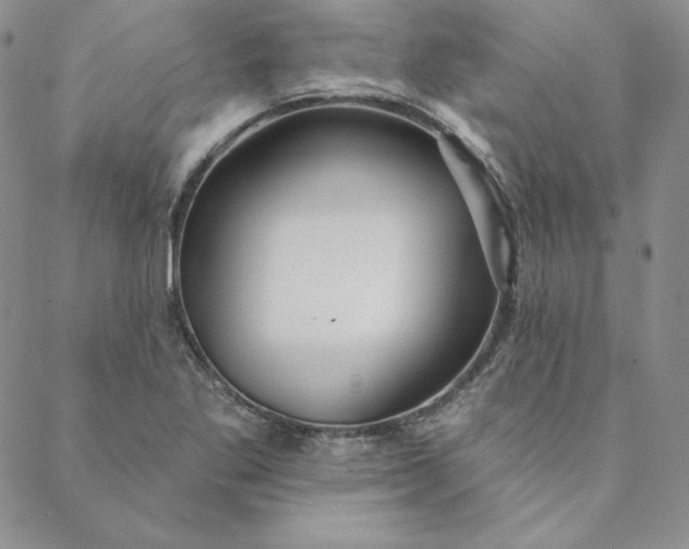 X0000088611269200706081425