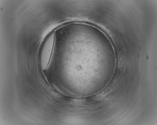 X0000088611271200706081425