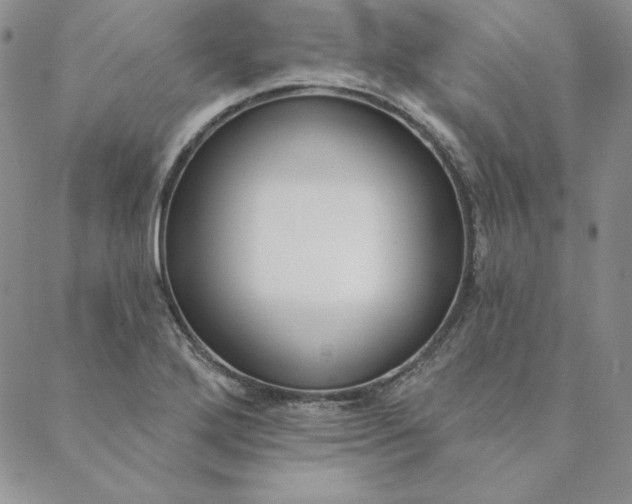 X0000088611272200706081425