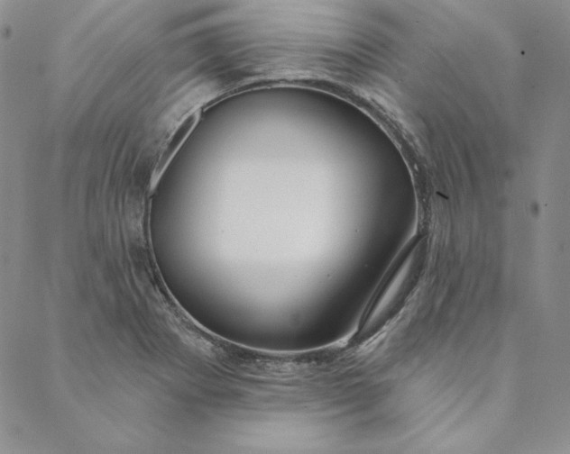 X0000088611273200706081425