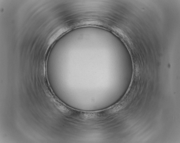 X0000088611274200706081425