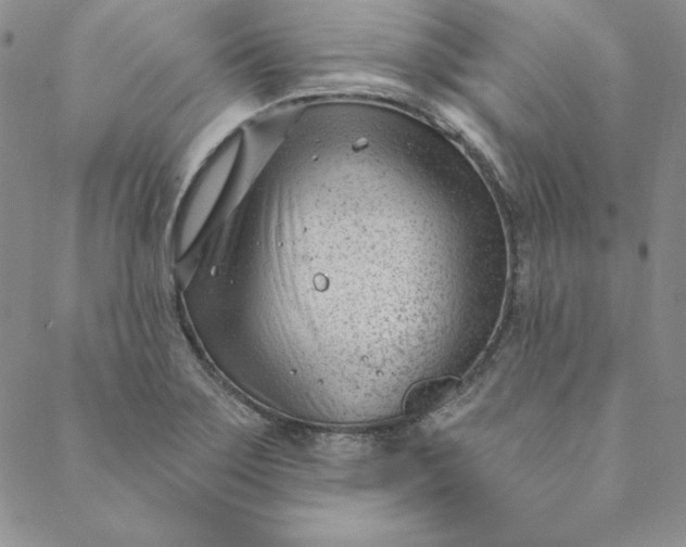 X0000088611275200706081425