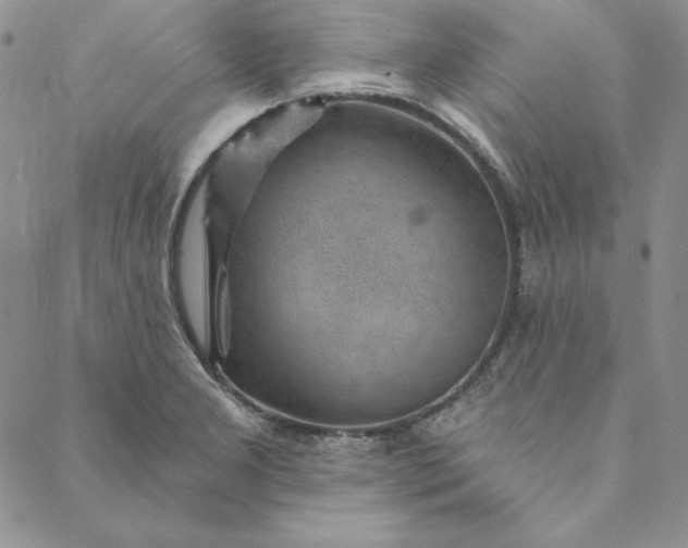 X0000088611277200706081425