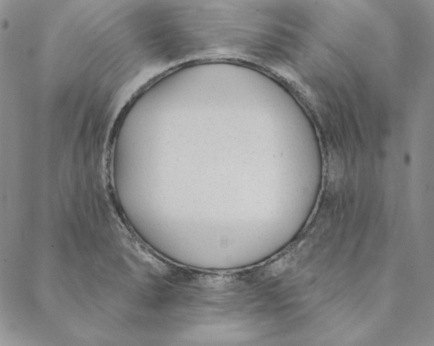 X0000088611278200706081425