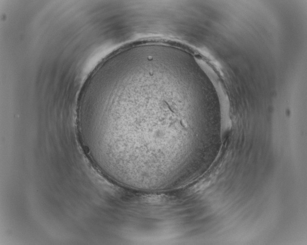 X0000088611279200706081425