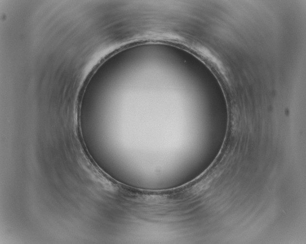 X0000088611280200706081425