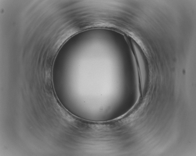 X0000088611281200706081425