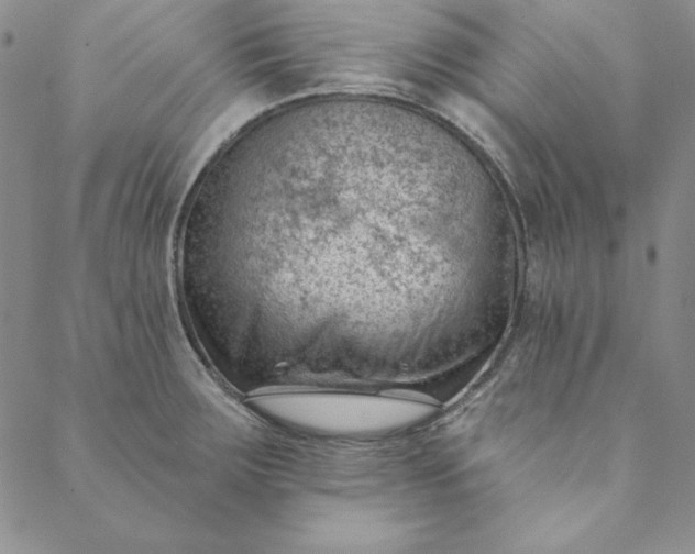 X0000088611283200706081425