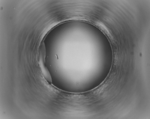 X0000088611284200706081425