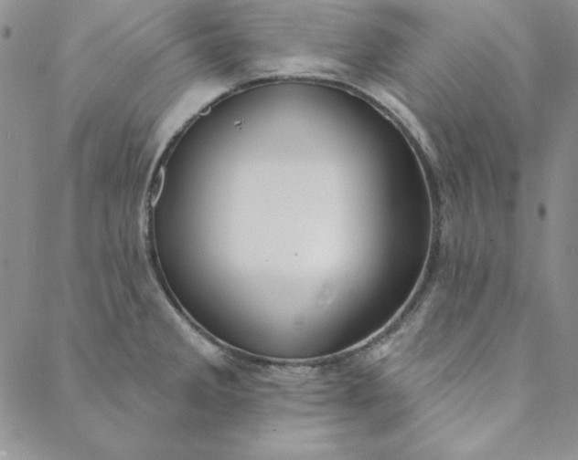 X0000088611285200706081425