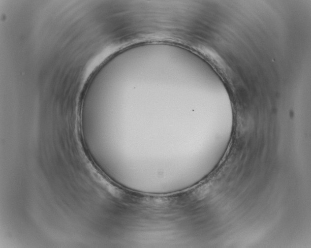 X0000088611286200706081425