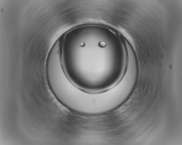 X0000088611287200706081425