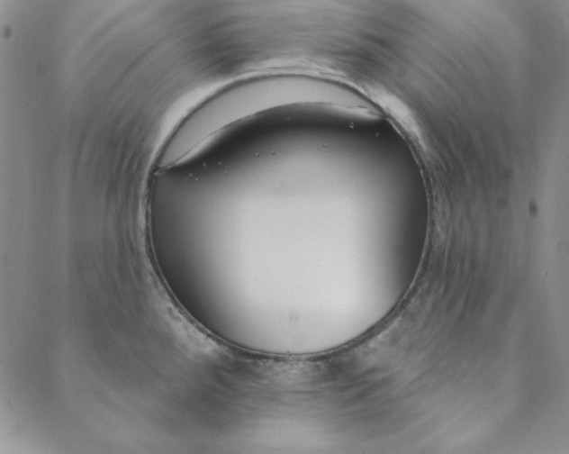 X0000088611288200706081425