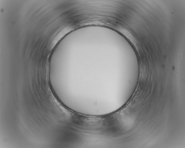 X0000088611290200706081425