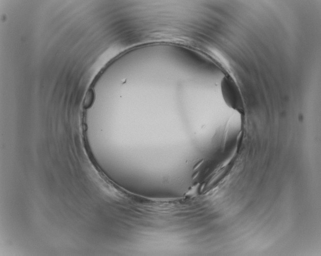 X0000088611291200706081425