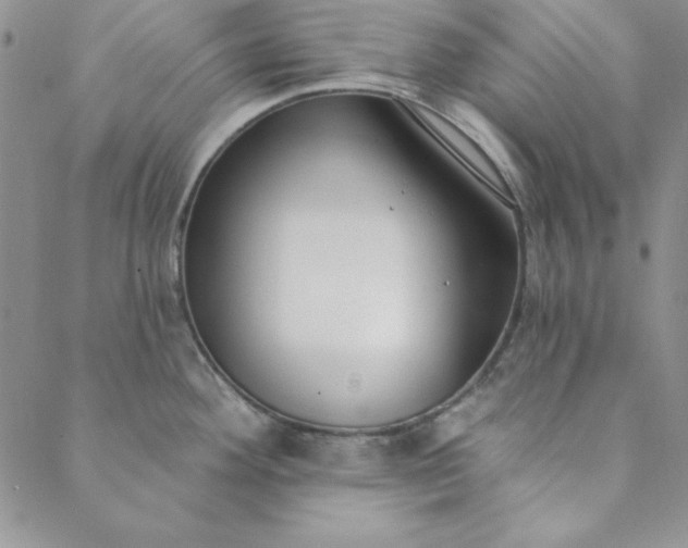 X0000088611292200706081425