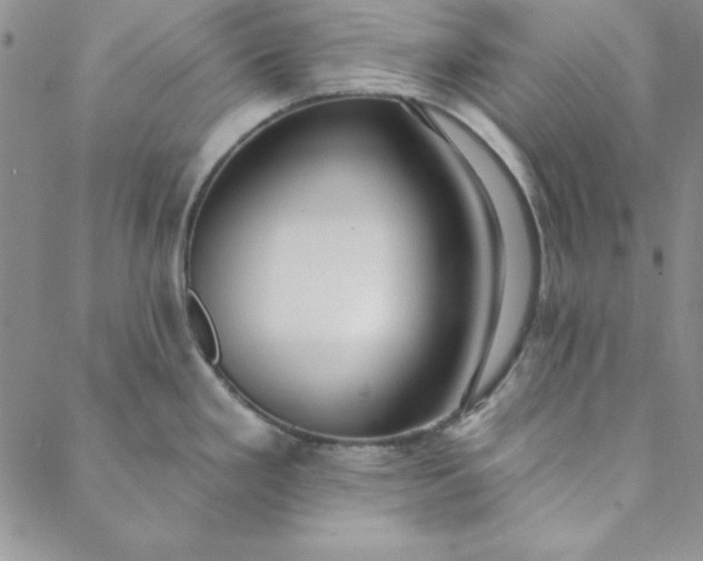 X0000088611293200706081425