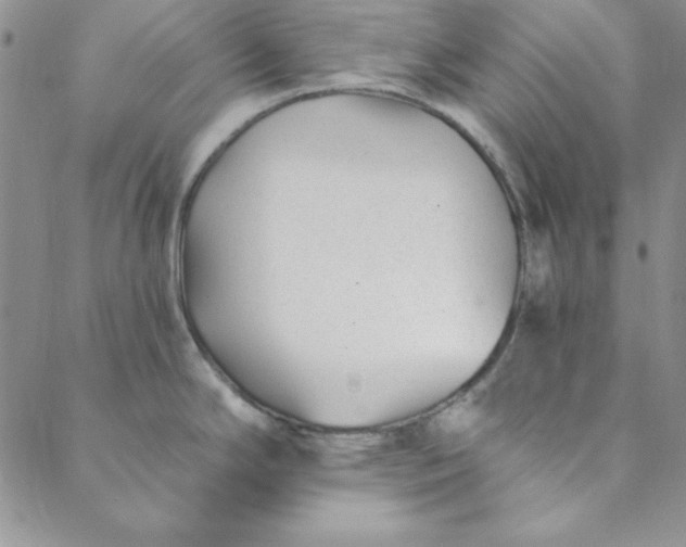 X0000088611294200706081425