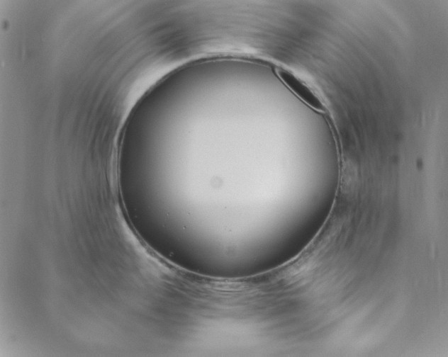 X0000088611295200706081425