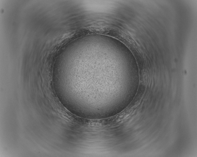 X0000088611297200706081424