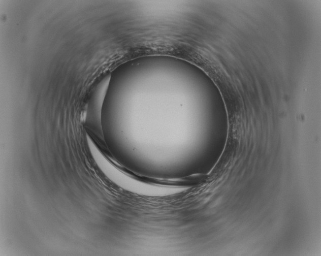 X0000088611298200706081424