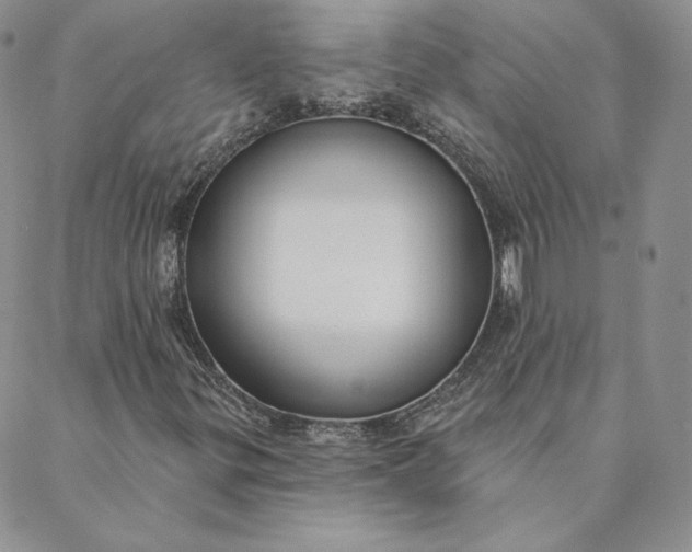 X0000088611299200706081424