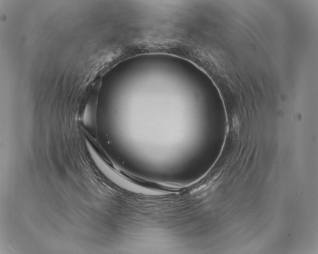 X0000088611300200706081424