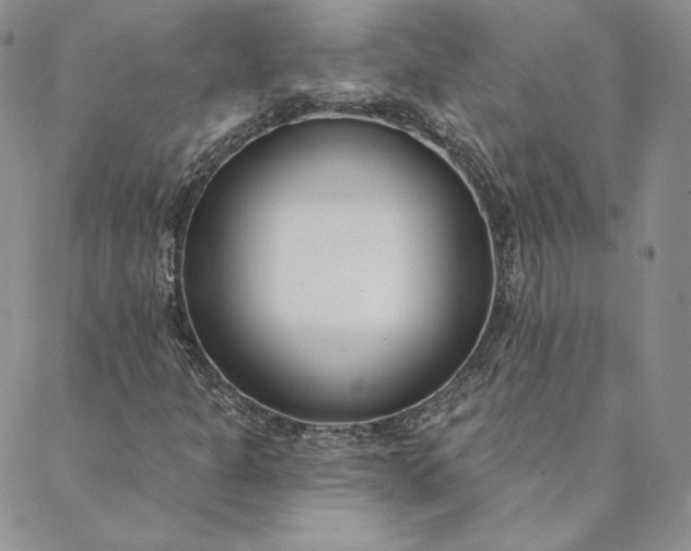 X0000088611301200706081424