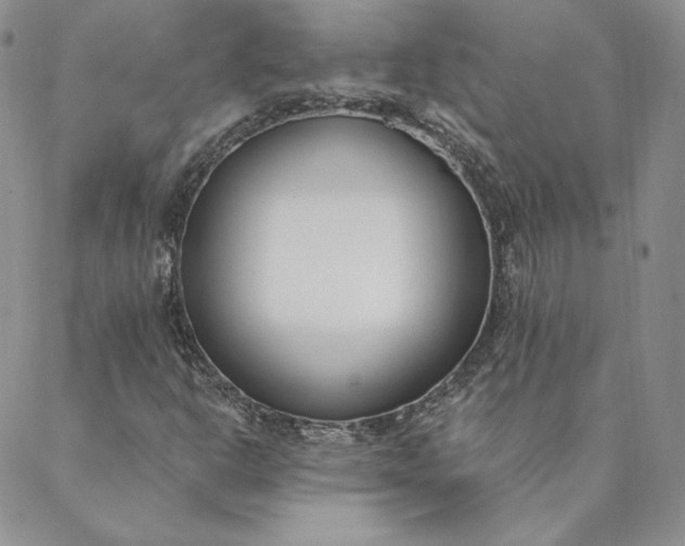 X0000088611302200706081424