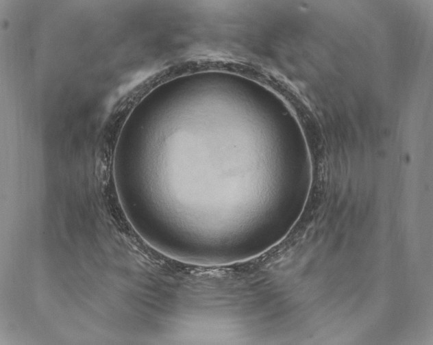 X0000088611303200706081424