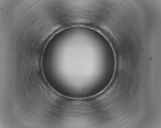 X0000088611305200706081424