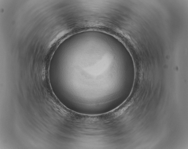 X0000088611306200706081424