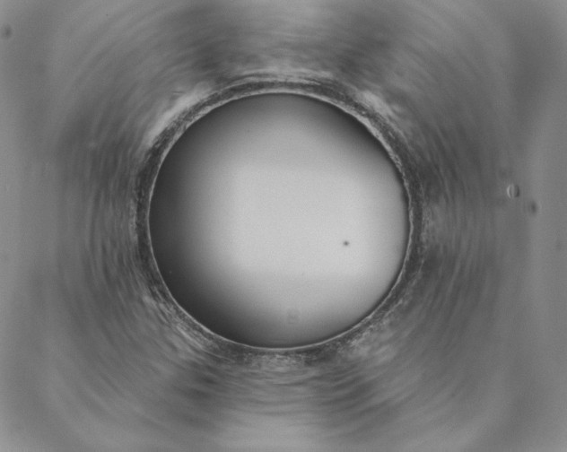 X0000088611307200706081424