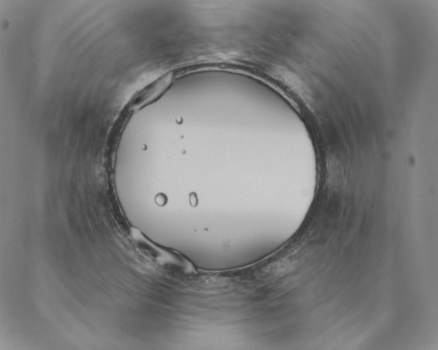 X0000088611308200706081424