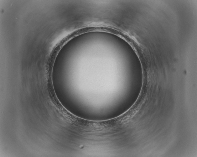 X0000088611311200706081424