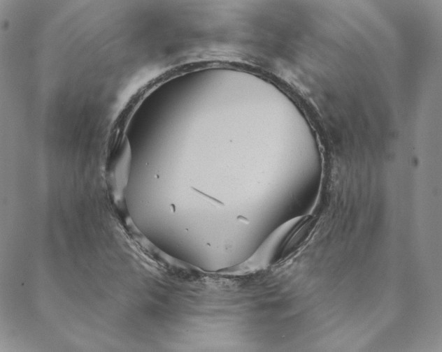 X0000088611312200706081424