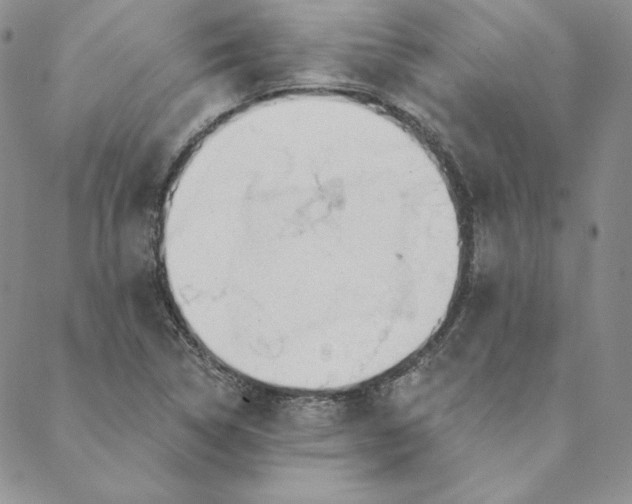 X0000088611314200706081424