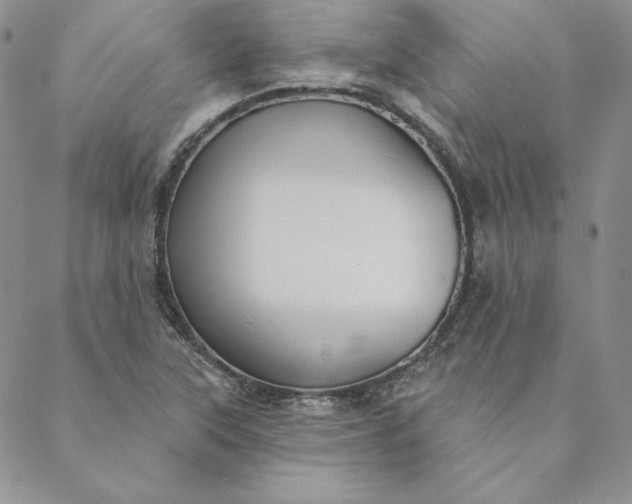 X0000088611315200706081424