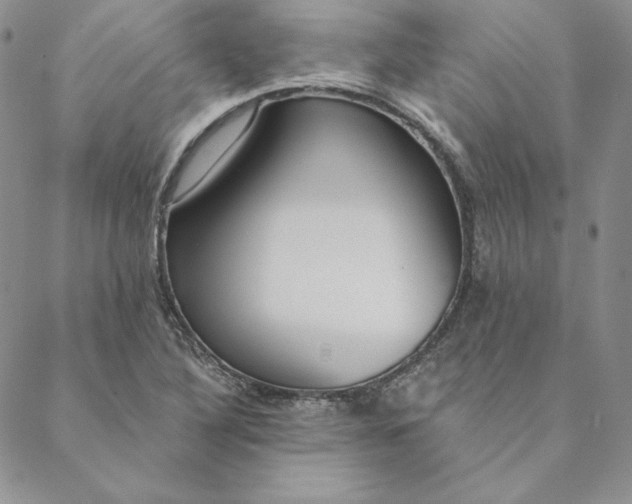 X0000088611316200706081424