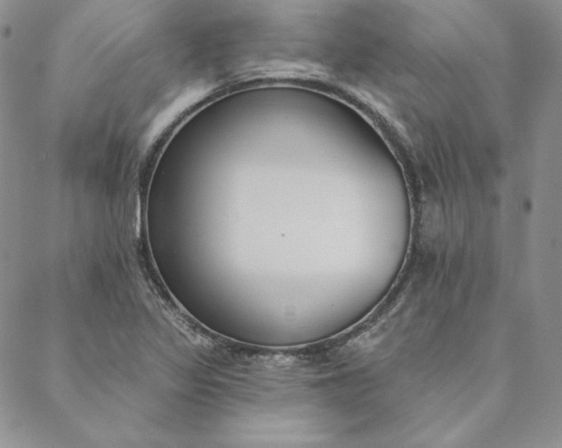 X0000088611317200706081424