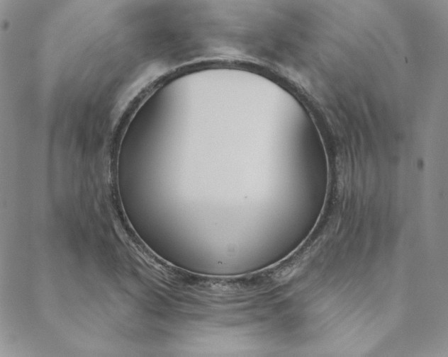 X0000088611318200706081424