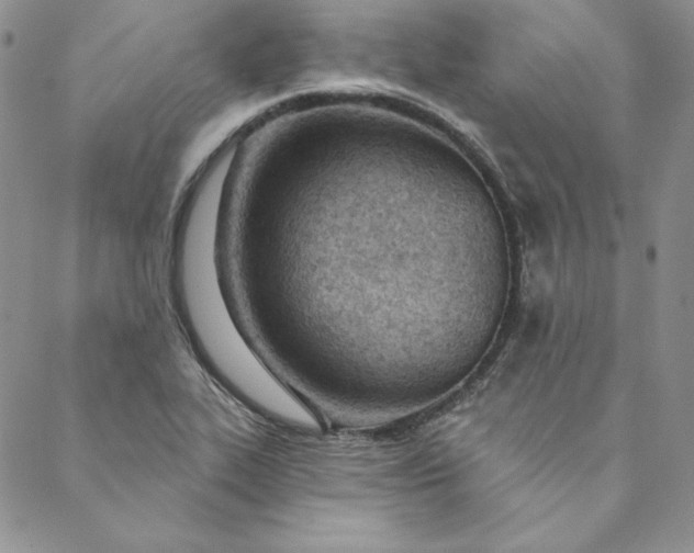 X0000088611319200706081424