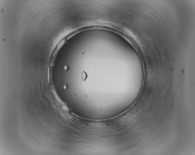 X0000088611320200706081424