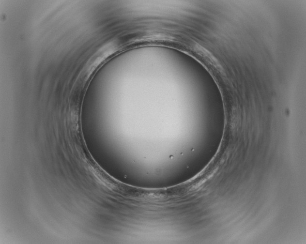 X0000088611321200706081424