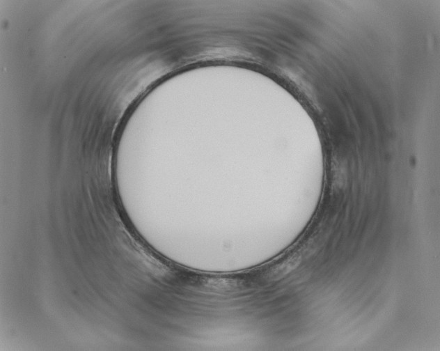 X0000088611322200706081424