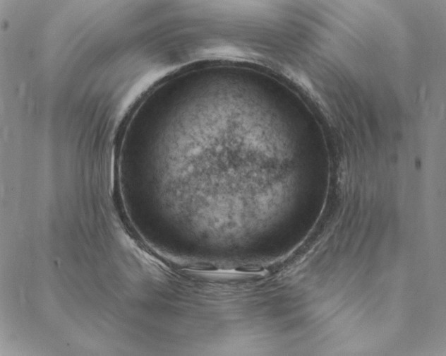 X0000088611323200706081424